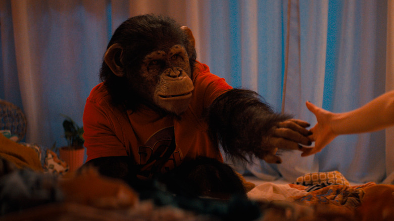 Ben the chimp playing with his owners in Primate (2026)