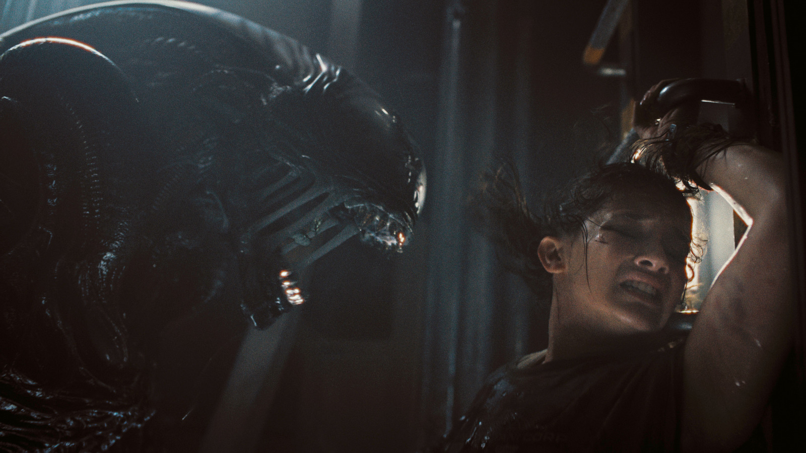 Why Alien Romulus Is Rated R A Parent's Guide To The Sci Fi Horror Movie
