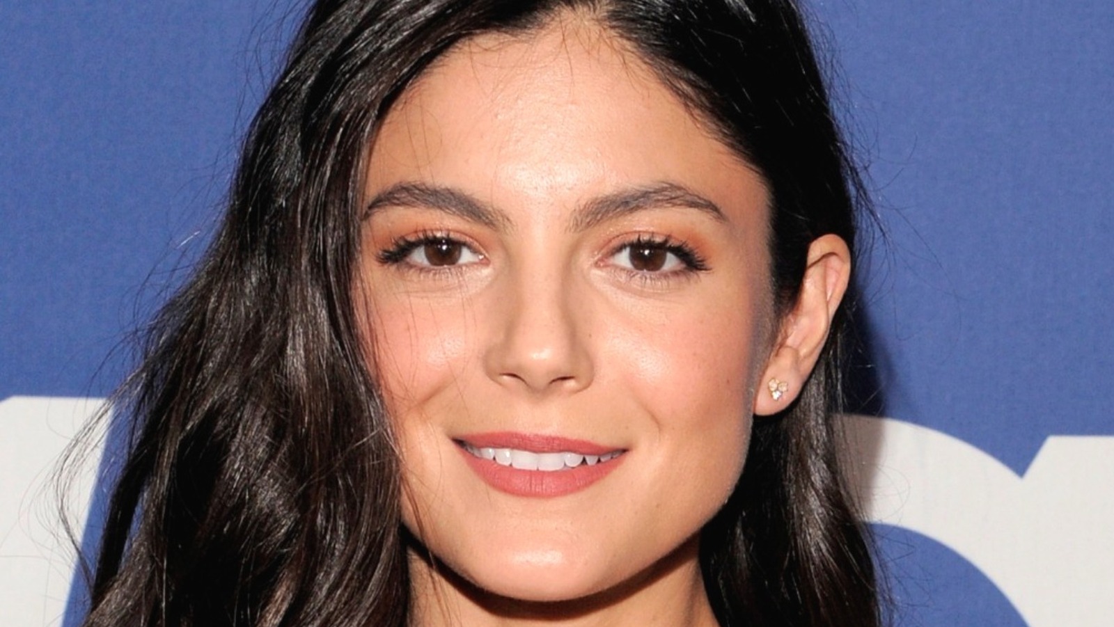 Why Anna Valdez From Chicago P.D. Looks So Familiar