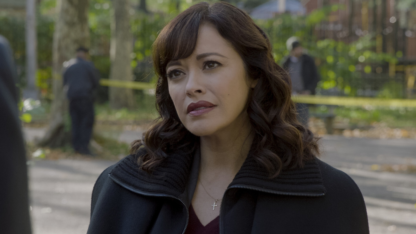 Why Blue Bloods Marisa Ramirez Loves Working With Donnie Wahlberg