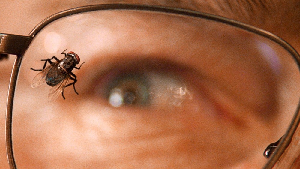 The Fly from Breaking Bad's infamous episode