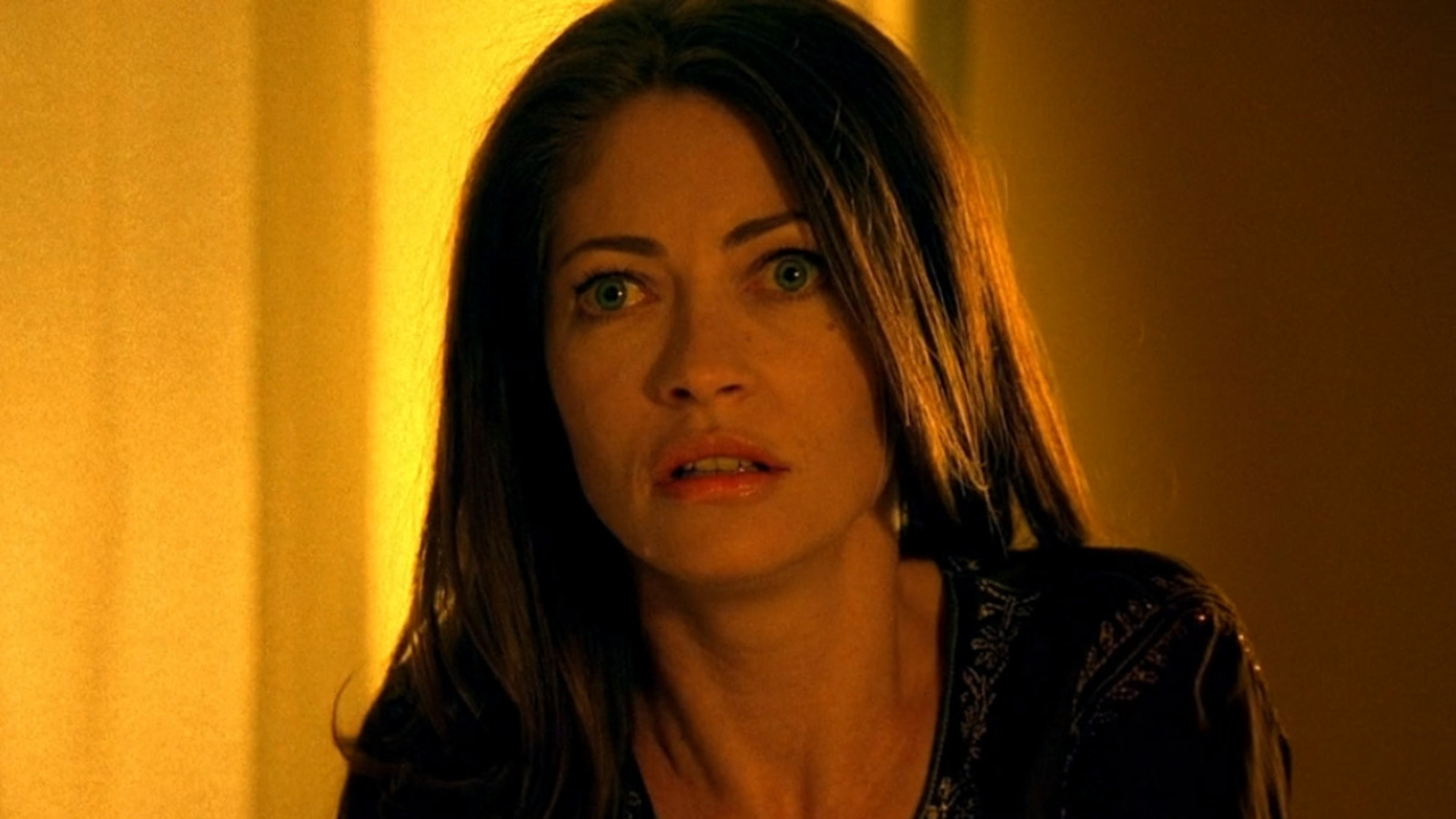 Why Claire Gibbs From CSI Miami Looks So Familiar