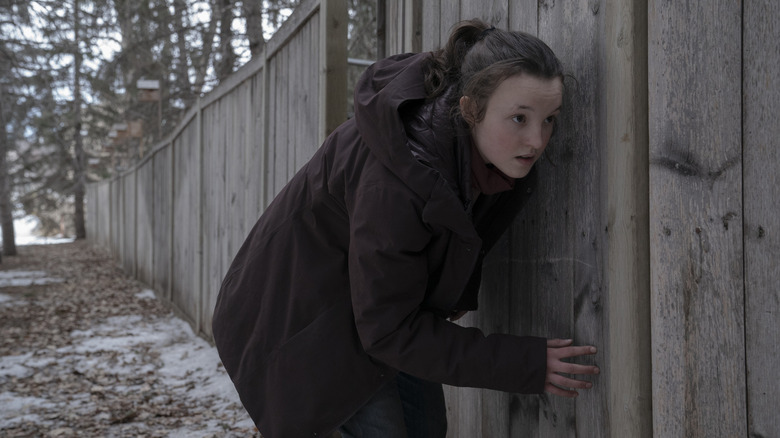 Ellie crouched next to fence