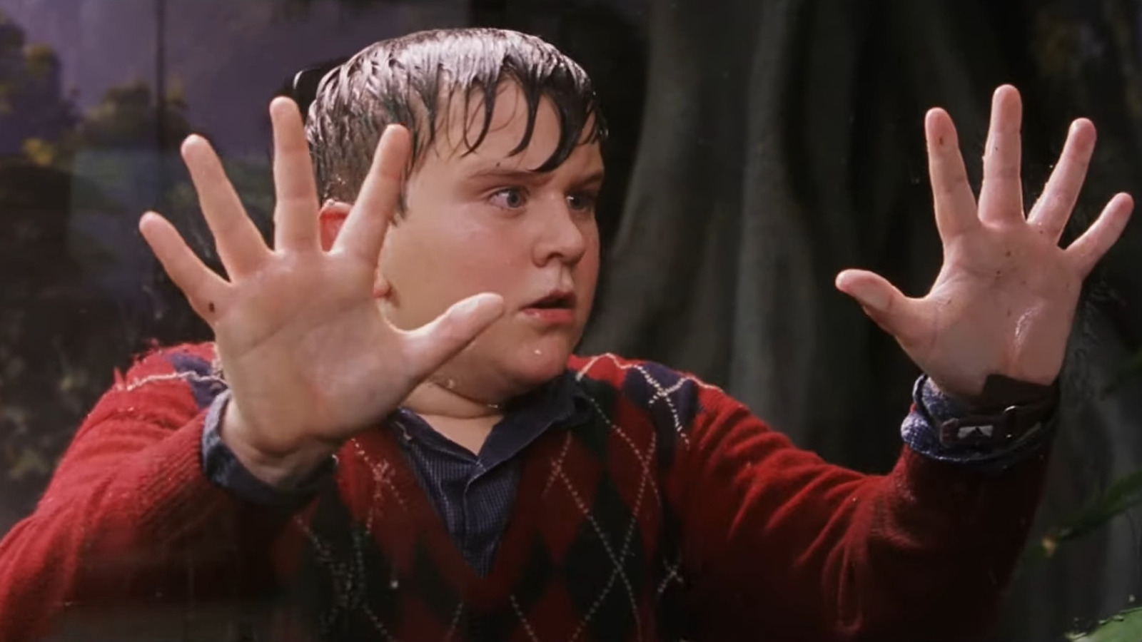Why Harry Melling's Experience Of Working On The Harry Potter Franchise