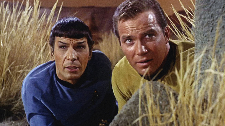 Spock and Kirk in tall grass