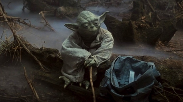Yoda sits on a log