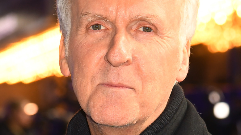 James Cameron attends event