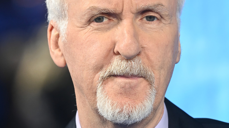 James Cameron smirking