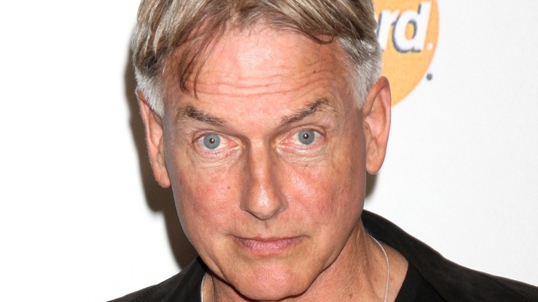 Mark Harmon posing