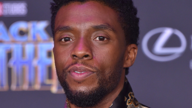 Chadwick Boseman on the red carpet