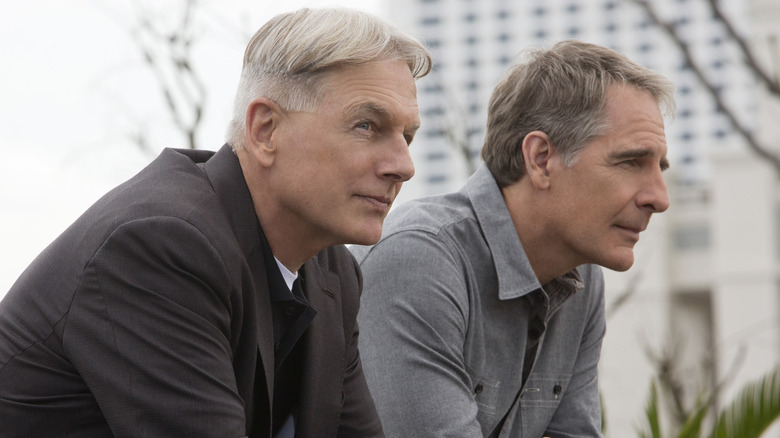 Gibbs and King brooding