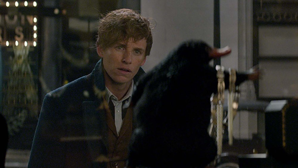Eddie Redmayne as Newt Scamander and the Niffler in Fantastic Beasts and Where to Find Them