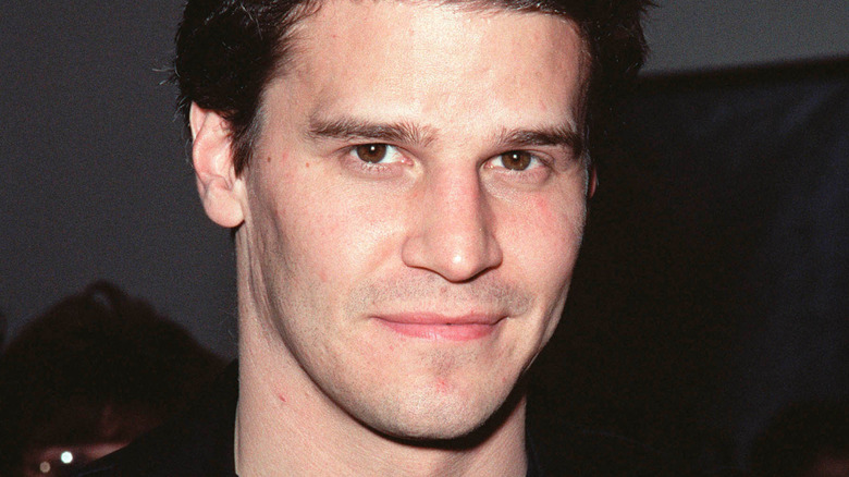 David Boreanaz