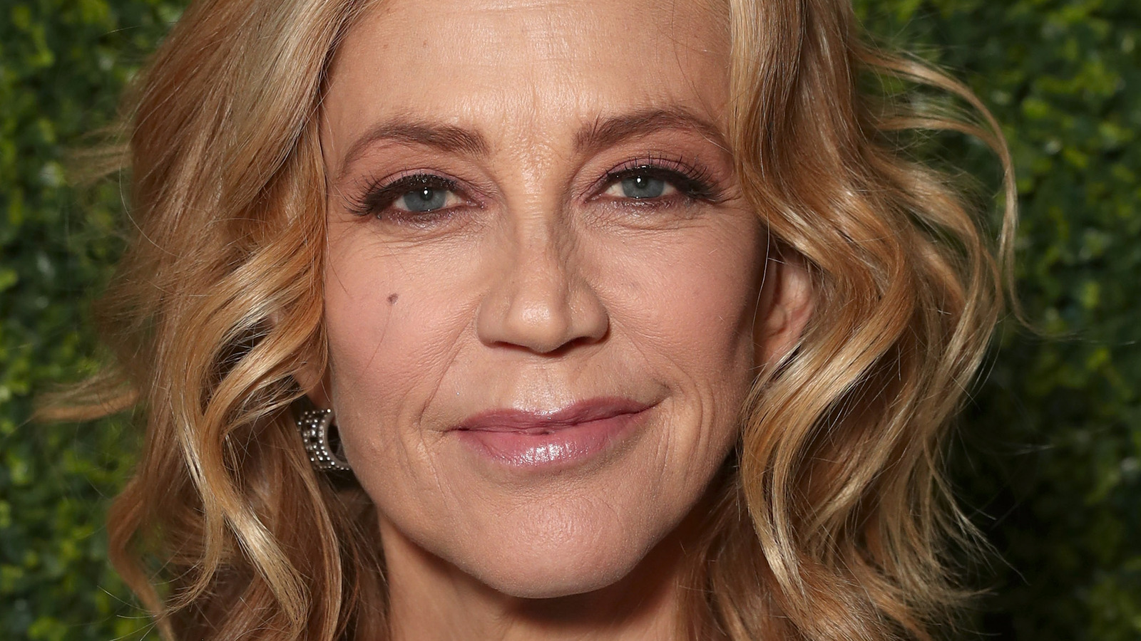 Why Some Fans Believe Agent Stahl Was The Best Sons Of Anarchy Villain