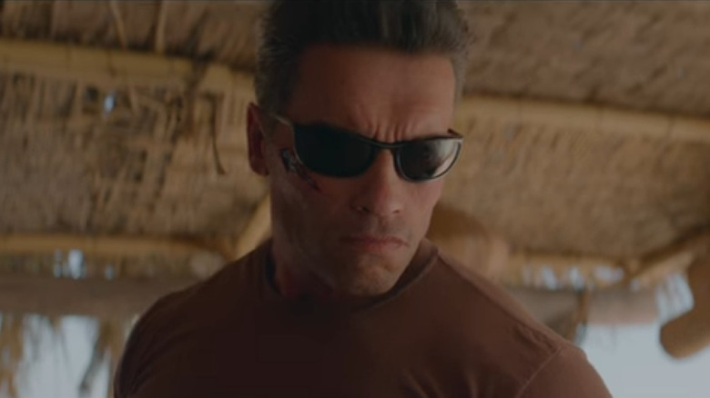 The Terminator wearing sunglasses