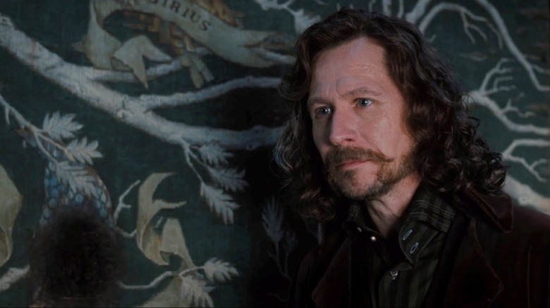 Sirius Black standing in front of the Black family tree