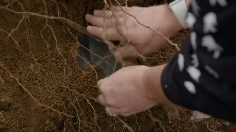 Person uncovering wood