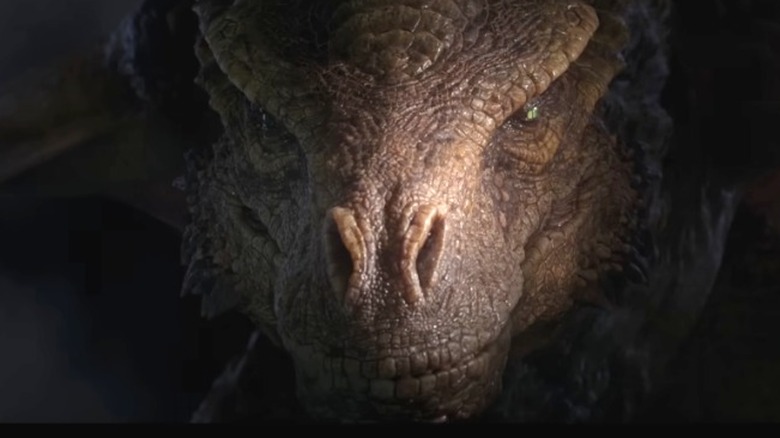 Vhagar the dragon looking