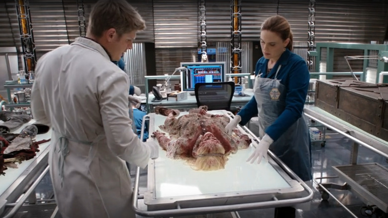 Dr. Brennan examines a body in Bones