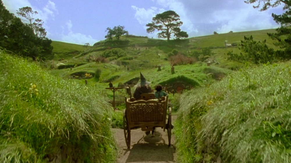 The rolling hills of Matamata, New Zealand – er, the Shire.