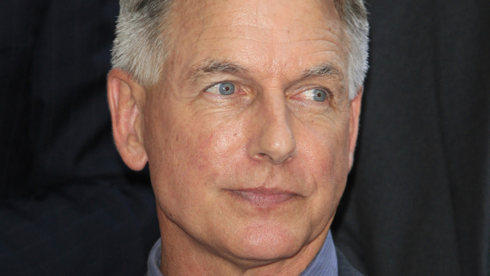 Mark Harmon close up