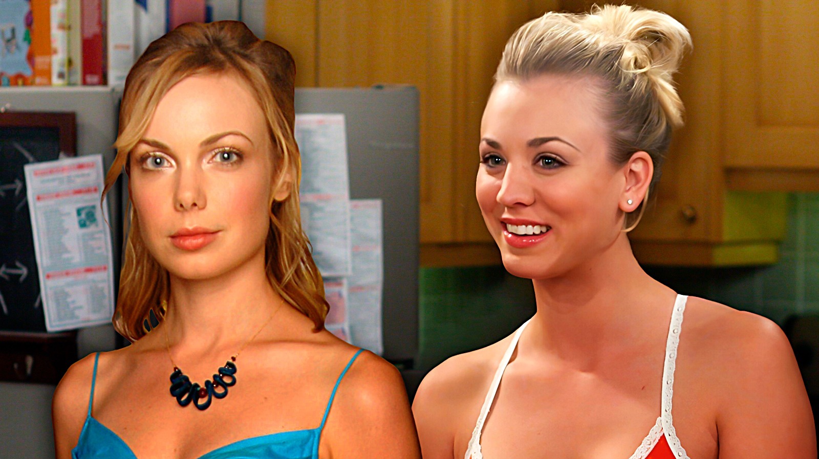 Why The Original 'Penny' In Big Bang Theory Was So Hated (And Cut From