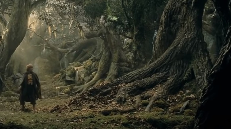 Meriadoc Brandybuck regarding a tree in The Lord of the Rings