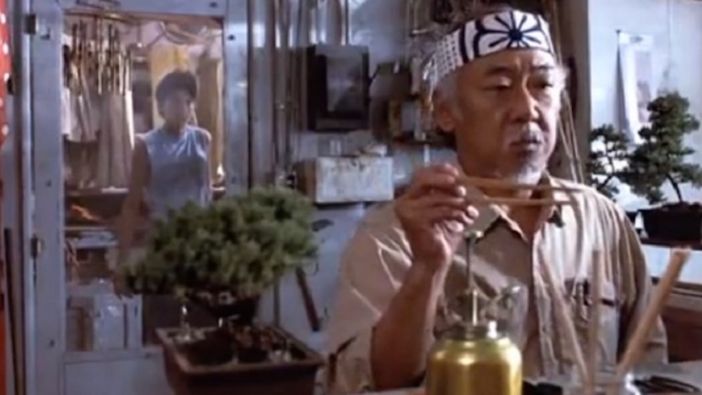 Ralph Macchio as Daniel LaRusso and Pat Morita as Mr. Miyagi in The Karate Kid