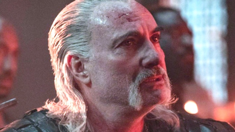 Vesemir mustache white hair