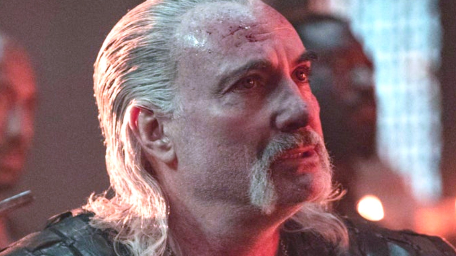witcher vesemir cast