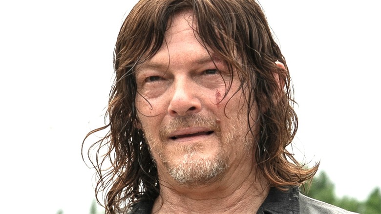 Norman Reedus as Daryl Dixon