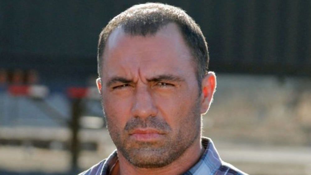 Fear Factor host Joe Rogan