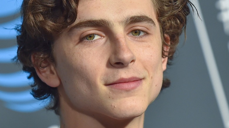 Close-up of Timothee Chalamet smiling