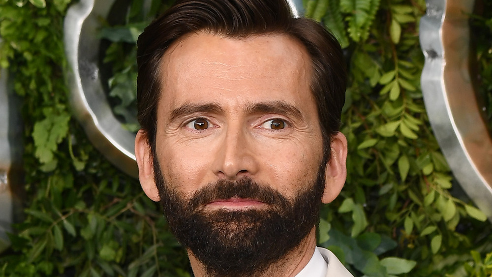 David Tennant with beard