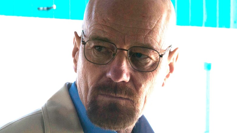 Cranston appears as Walt