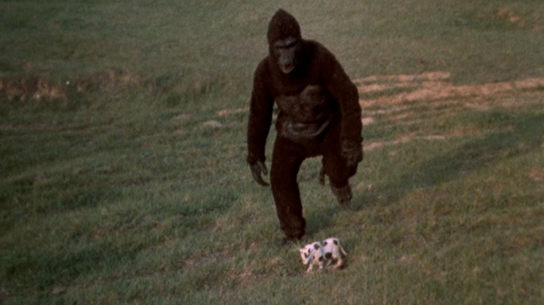 Ape in a field