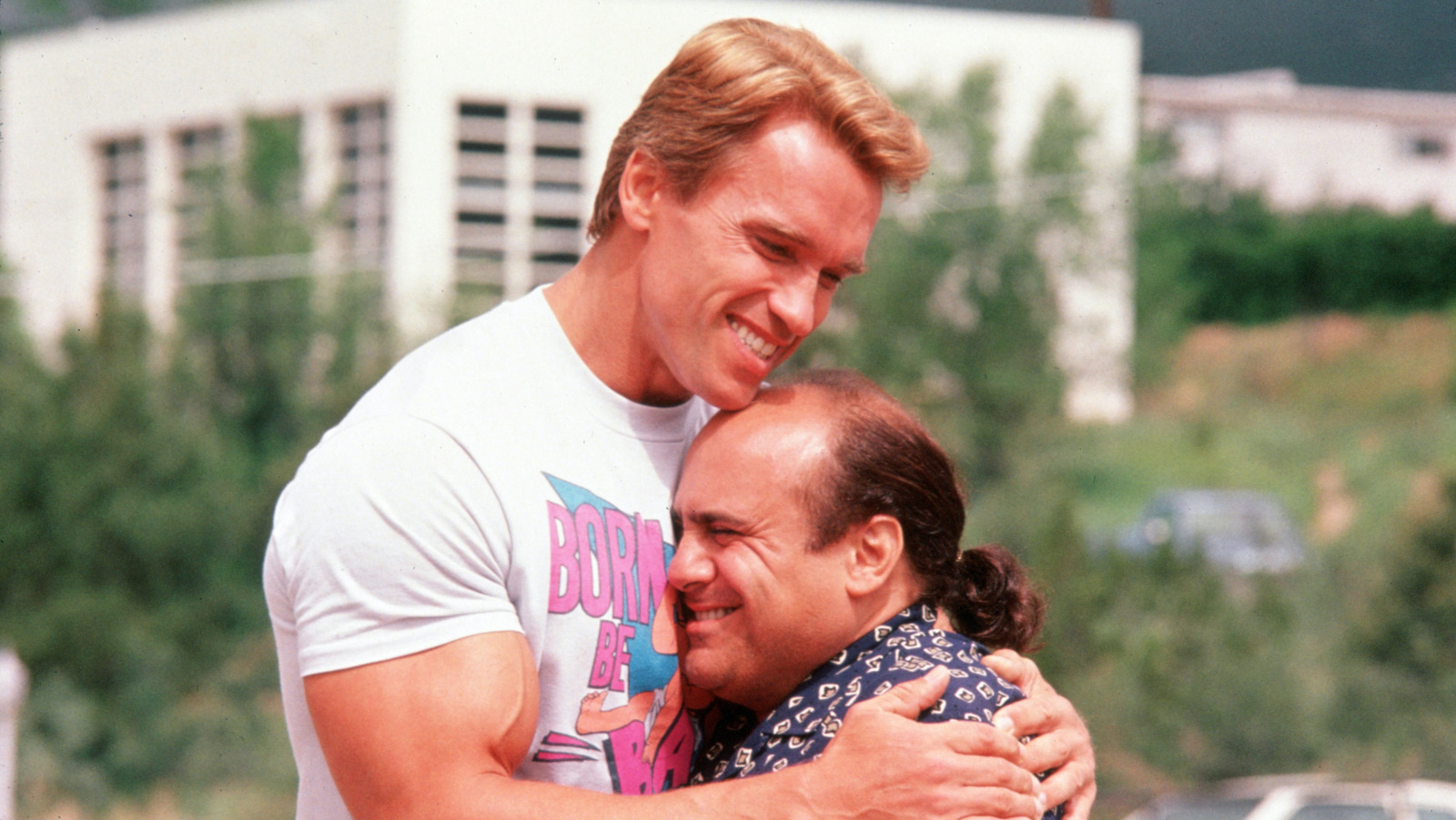 Will Arnold's State Farm Commercial Finally Make A Twins Sequel Happen?