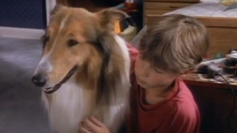 Will Estes on Lassie