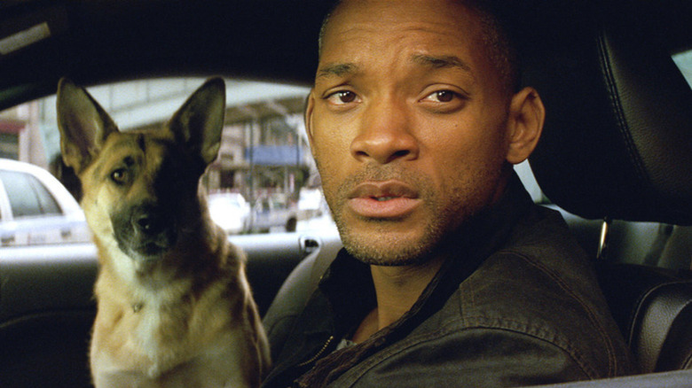 Robert Nevill and Sam in I Am Legend