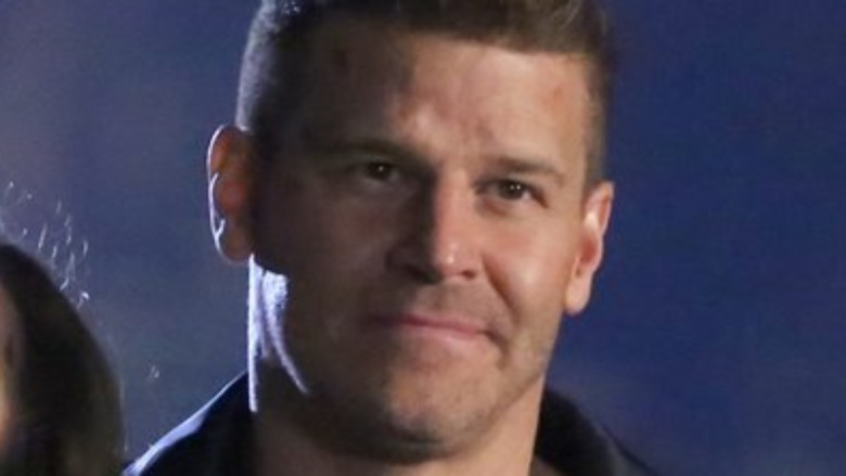 David Boreanaz Bones