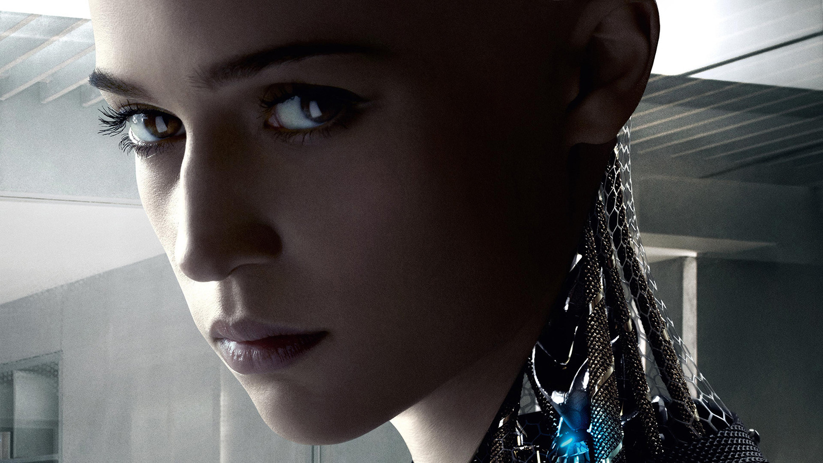 Will There Be An Ex Machina 2?