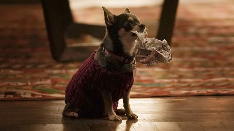 Betty sitting on floor holding paper