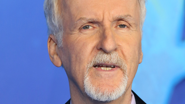 James Cameron at Avatar 2 premiere