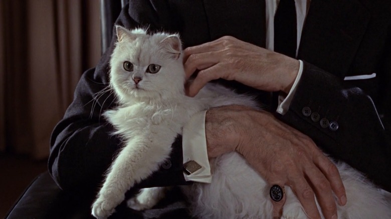 Blofeld stroking his white cat