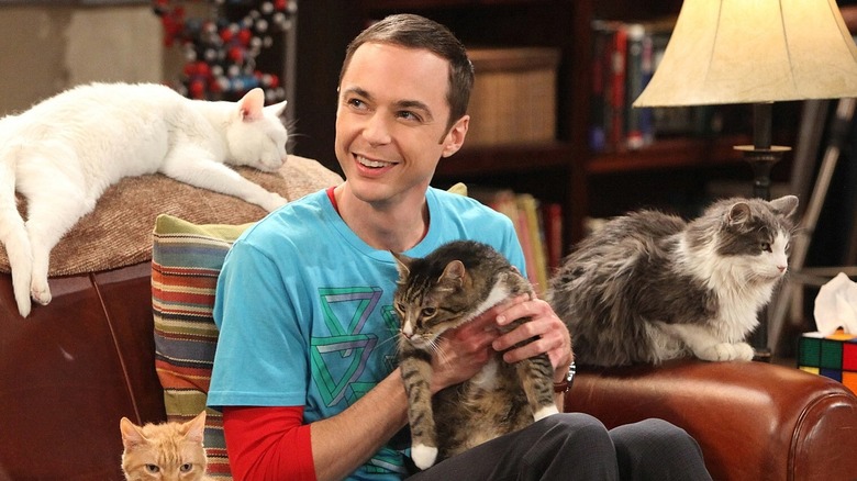 Sheldon smiling with cats on "The Big Bang Theory"