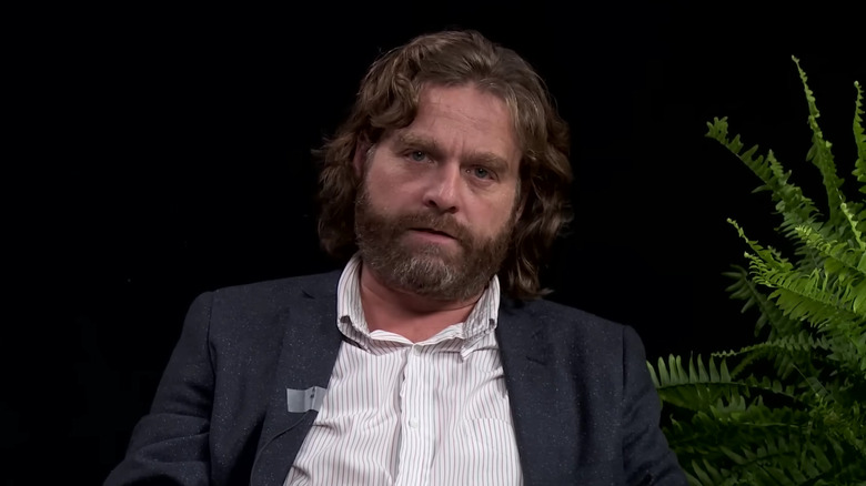 Zach Galifianakis sitting beside a fern on Between Two Ferns with Zach Galifianakis
