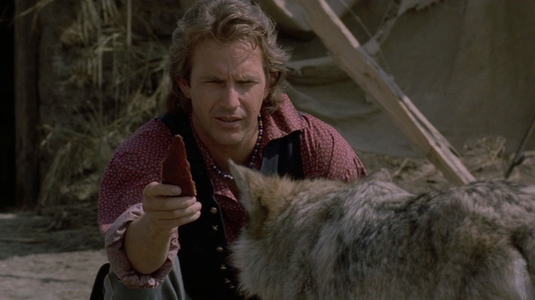 Dunbar feeds meat to a wolf in Dances with Wolves