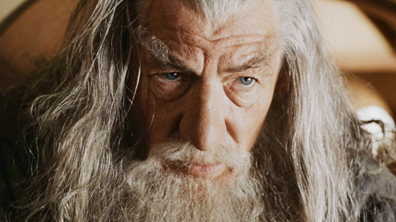Gandalf in Fellowship of the Ring