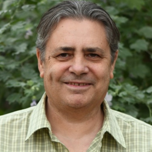 Photo of Craig Mattson