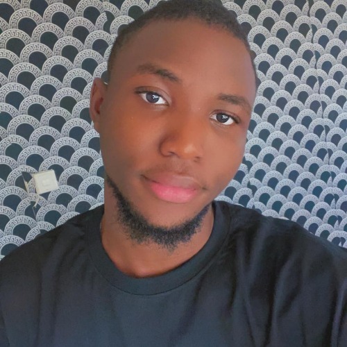 Photo of Oluwaseun Bamisile